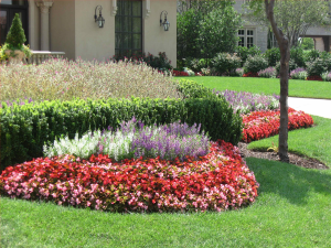 Pitzer's Lawn Management – Passionate About Lawns